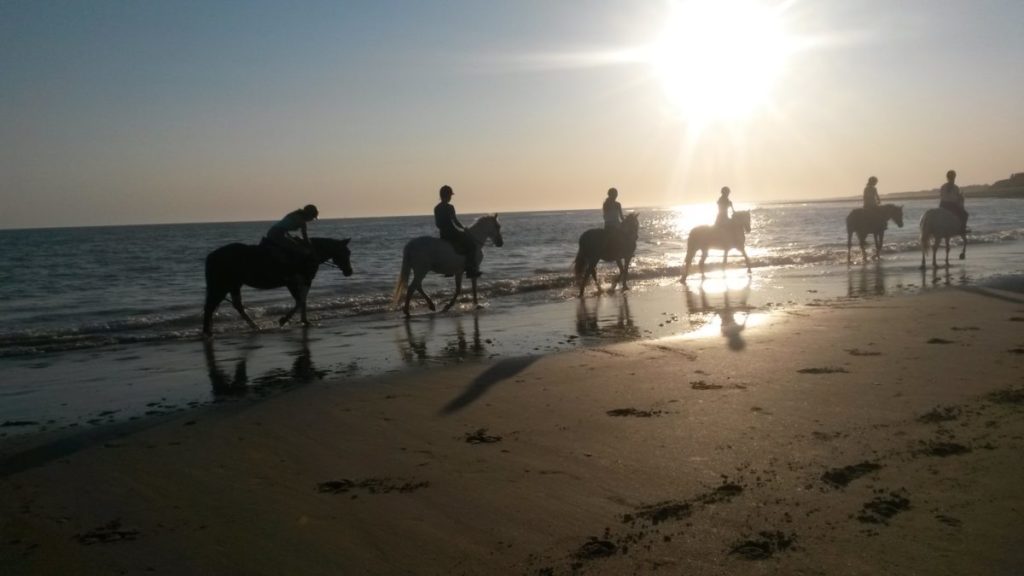 Promenade à cheval ile de ré